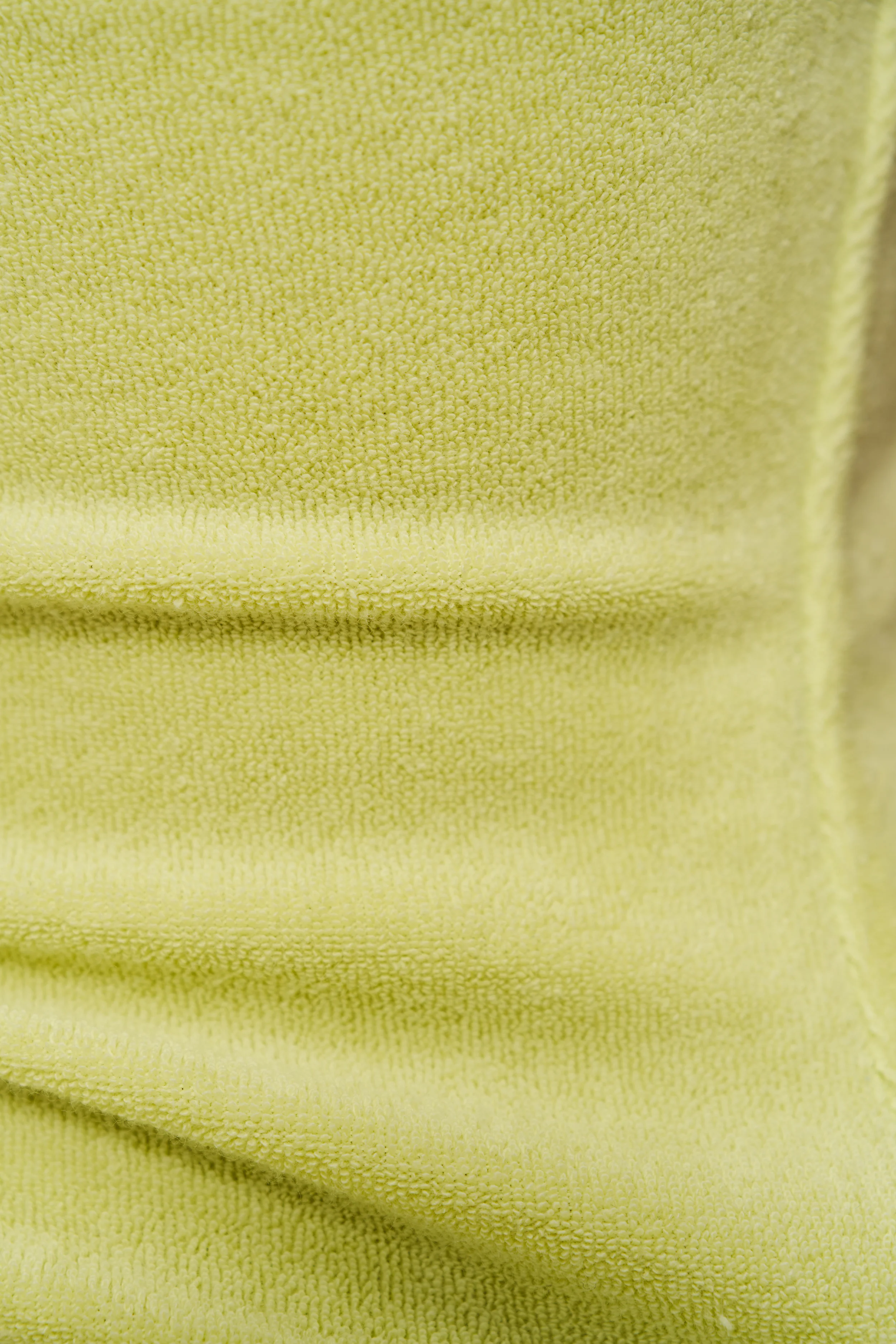 Dani Terry Pant - Image 6