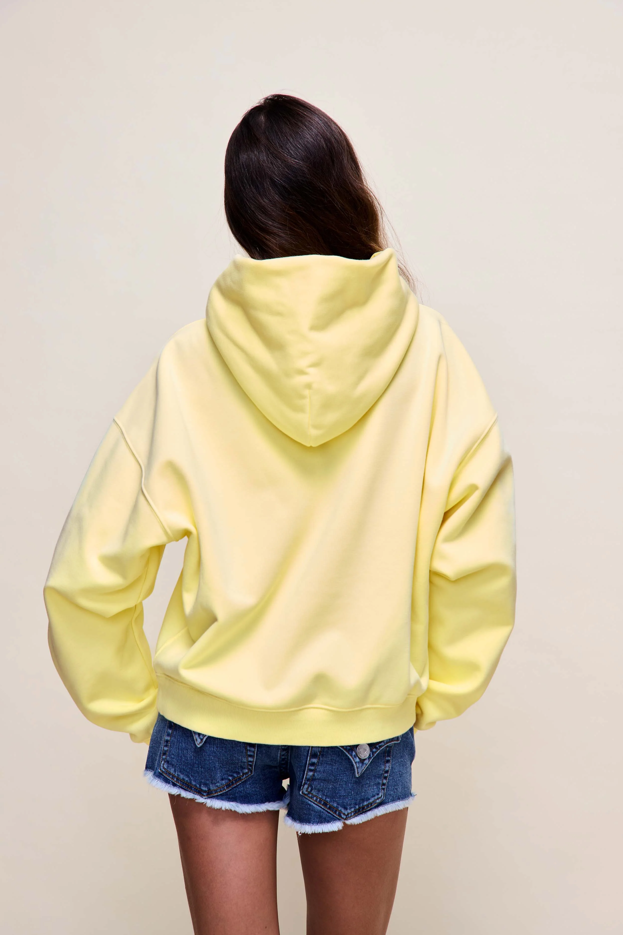 Guizio Pullover Hoodie - Image 6